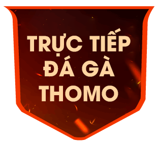 gathomo 25/10/2026