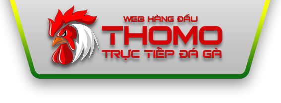 logolandingthomo 25/10/2026